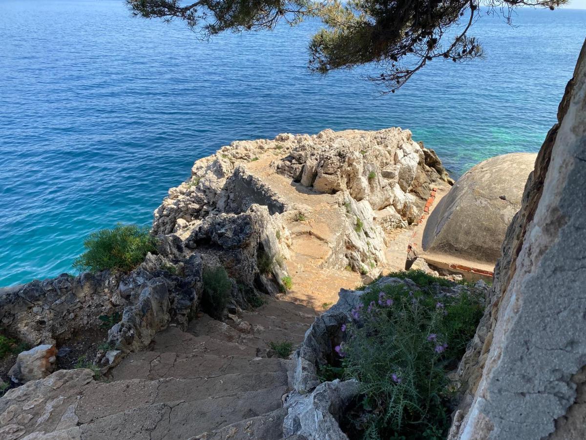 Bed and Breakfast Riviera Dreams Of Life à Nice Extérieur photo